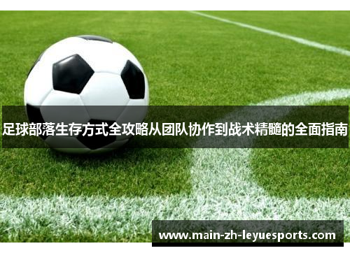 足球部落生存方式全攻略从团队协作到战术精髓的全面指南