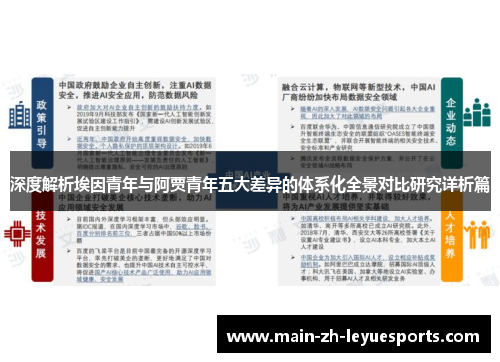 深度解析埃因青年与阿贾青年五大差异的体系化全景对比研究详析篇