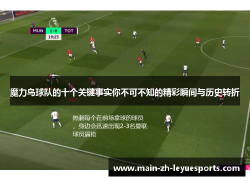 魔力鸟球队的十个关键事实你不可不知的精彩瞬间与历史转折