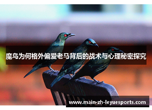 魔鸟为何格外偏爱老马背后的战术与心理秘密探究